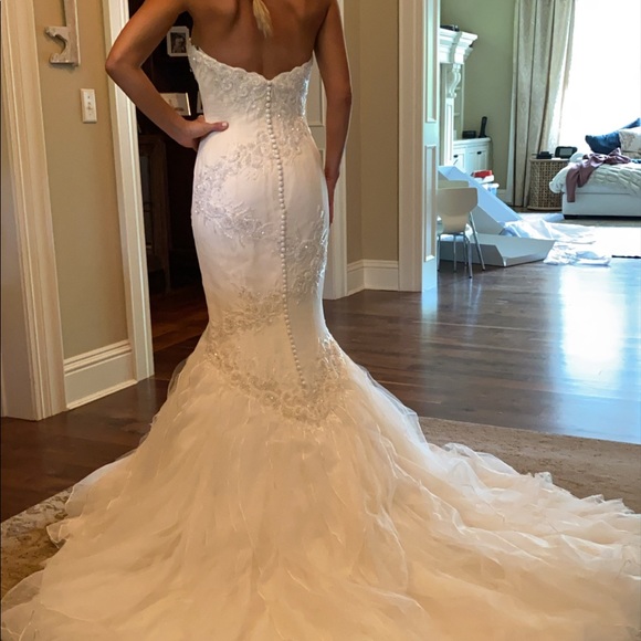 Matthew Christopher Wedding Dress - Picture 4 of 12